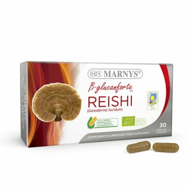 Reishi Biológico MARNYS. Línea Setas B-glucanforte BIO